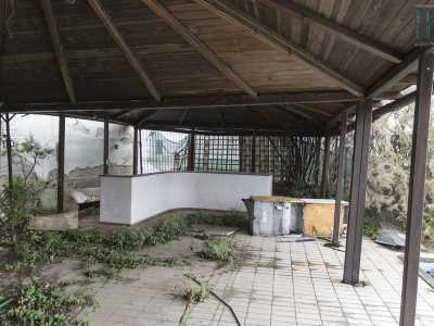 Tra i rottami gettati all'interno della piscina c'� addirittura un ingombrante frigorifero per gelati. Il che non � un caso: nelle immediate vicinanze � ben evidente il vecchio bar all'aperto, con il suo bancone bianco e una graziosa tettoia in legno scuro a proteggerlo dai fenomeni atmosferici